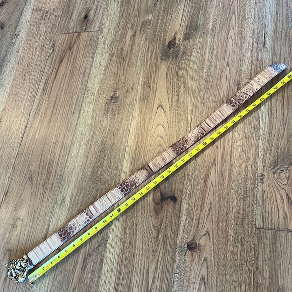 Roberto Cavalli Rare Gold/black Metal, with faux rubies & diamonds Cobra Belt! - Picture 11 of 11